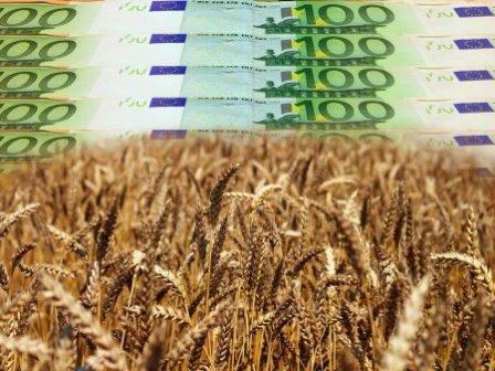 Где лучше всего зарабатывают фермеры: названы самые урожайные регионы Украины