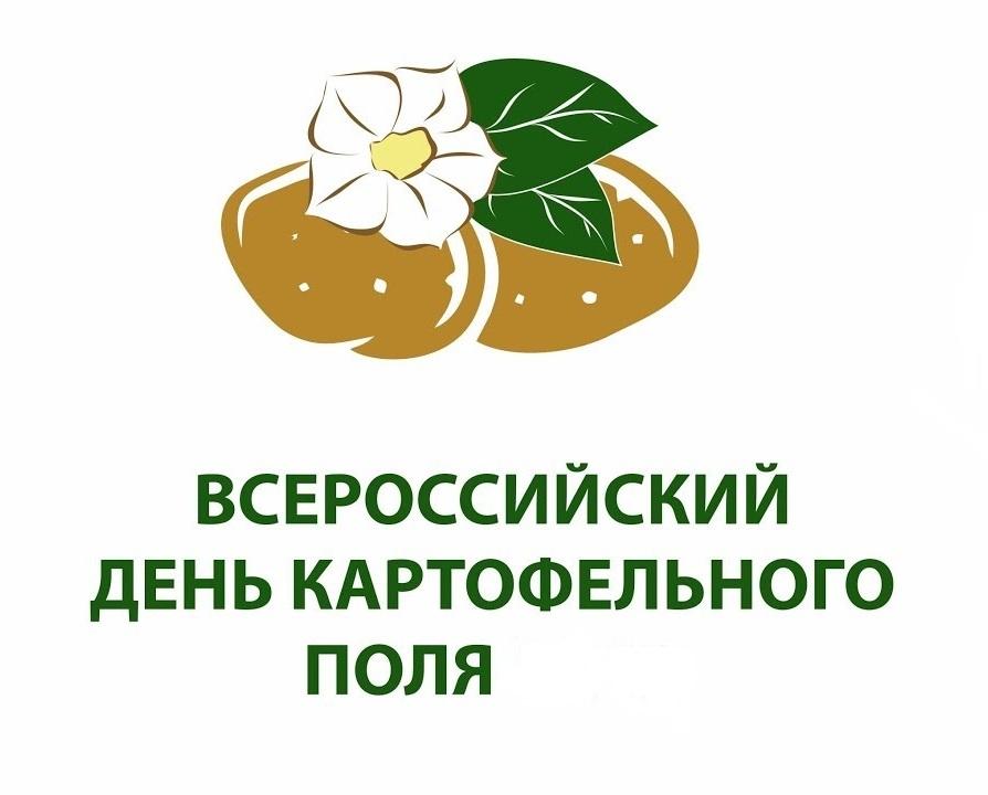 день картофельного поля