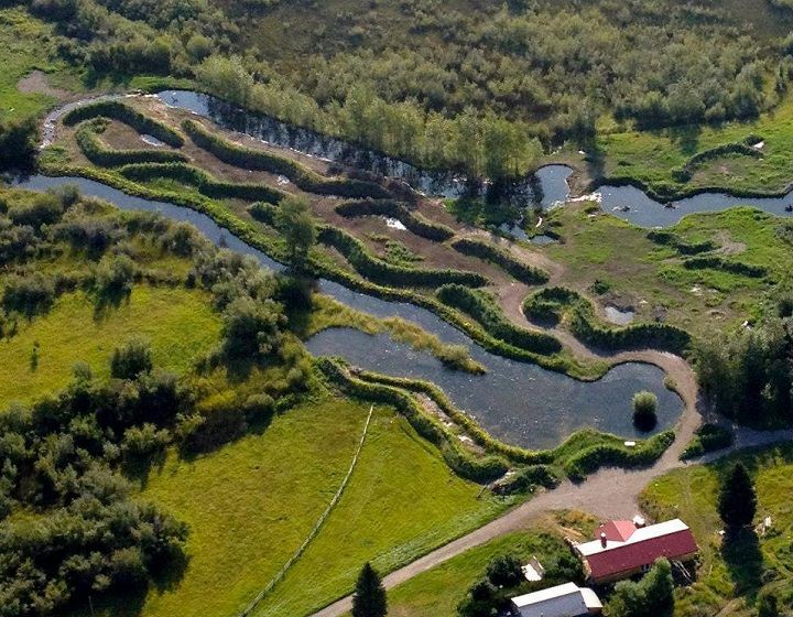 пермакультура