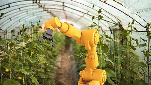 Великобритания: роботы вырастили урожай роботы вырастили урожай
